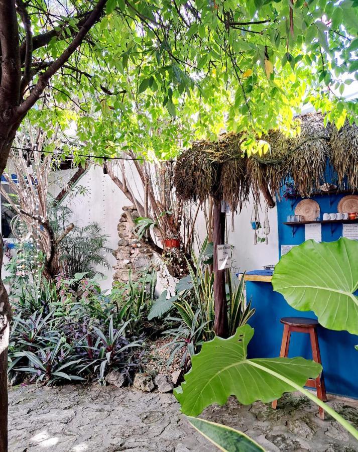 Hostal Jardin Mahahual Luaran gambar